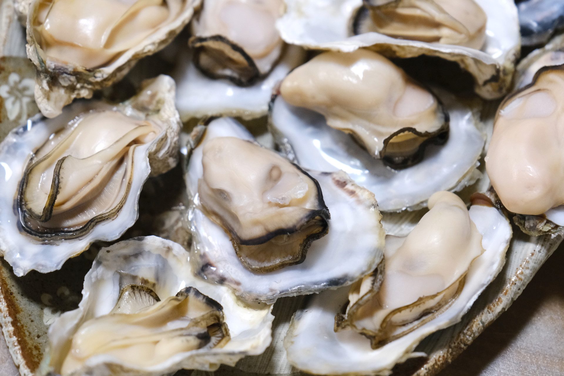 生牡蠣イメージ